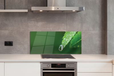 Painel de vidro Gota de água em uma folha