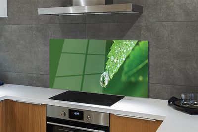 Painel de vidro Gota de água em uma folha