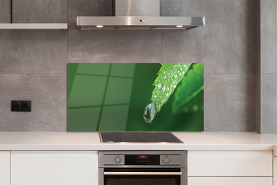 Painel de vidro Gota de água em uma folha