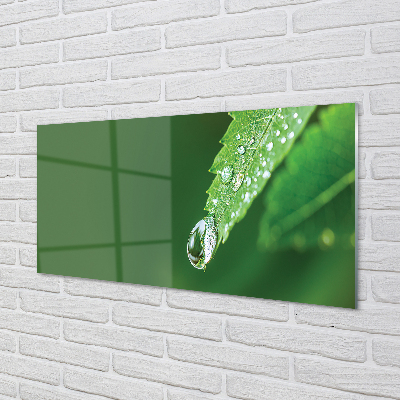 Painel de vidro Gota de água em uma folha
