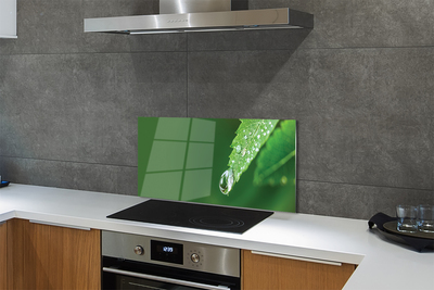 Painel de vidro Gota de água em uma folha