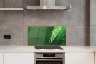 Painel de vidro Gota de água em uma folha