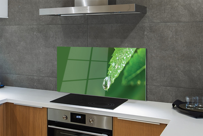 Painel de vidro Gota de água em uma folha