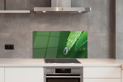 Painel de vidro Gota de água em uma folha