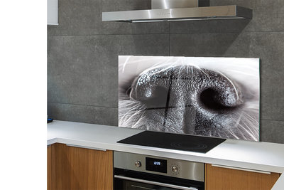 Painel de vidro nariz de cachorro