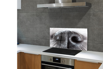 Painel de vidro nariz de cachorro
