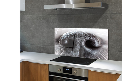 Painel de vidro nariz de cachorro