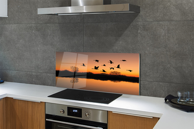 Painel de vidro Pôr do sol de pássaros voando