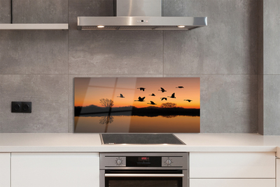 Painel de vidro Pôr do sol de pássaros voando