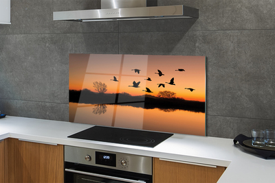 Painel de vidro Pôr do sol de pássaros voando