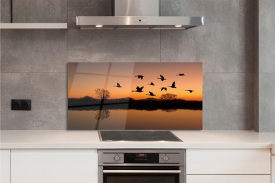 Painel de vidro Pôr do sol de pássaros voando