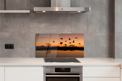 Painel de vidro Pôr do sol de pássaros voando