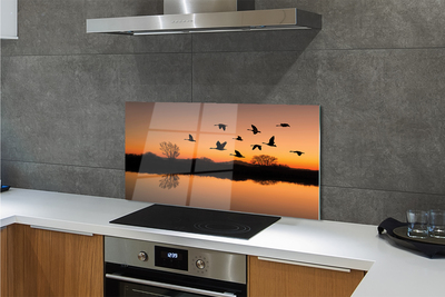 Painel de vidro Pôr do sol de pássaros voando