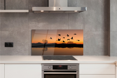 Painel de vidro Pôr do sol de pássaros voando