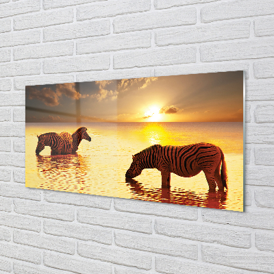 Painel de vidro Zebras na água do pôr do sol