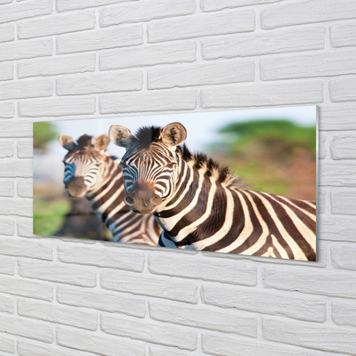 Painel de vidro Zebras