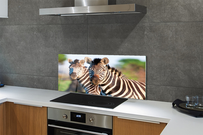 Painel de vidro Zebras