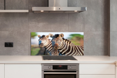 Painel de vidro Zebras