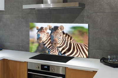 Painel de vidro Zebras