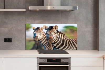 Painel de vidro Zebras