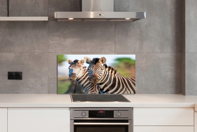 Painel de vidro Zebras
