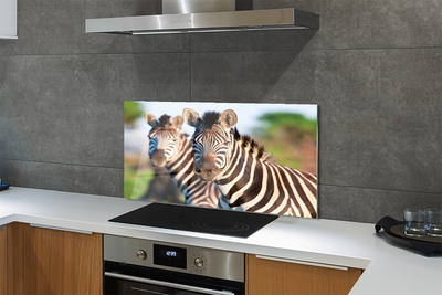 Painel de vidro Zebras