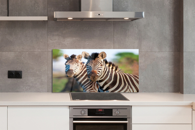Painel de vidro Zebras