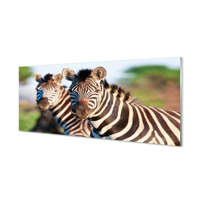 Painel de vidro Zebras