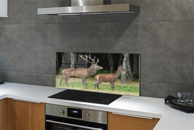 Painel de vidro Floresta de veados