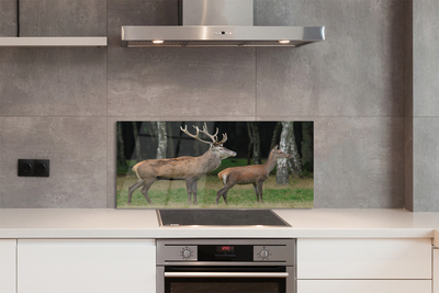 Painel de vidro Floresta de veados