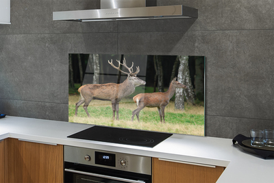 Painel de vidro Floresta de veados