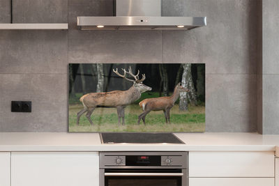 Painel de vidro Floresta de veados