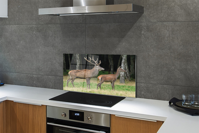 Painel de vidro Floresta de veados