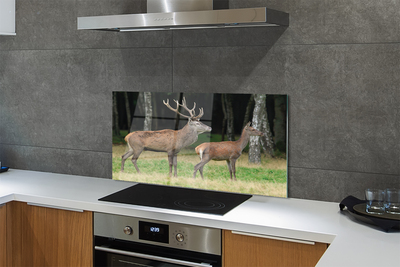 Painel de vidro Floresta de veados