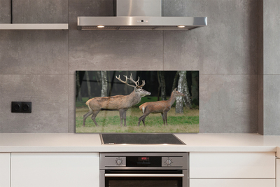 Painel de vidro Floresta de veados