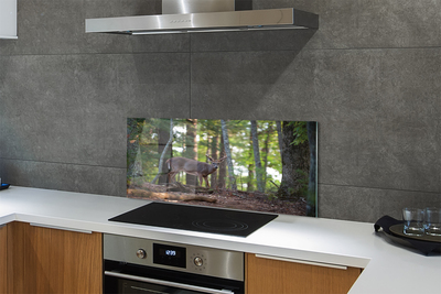 Painel de vidro Veado da floresta