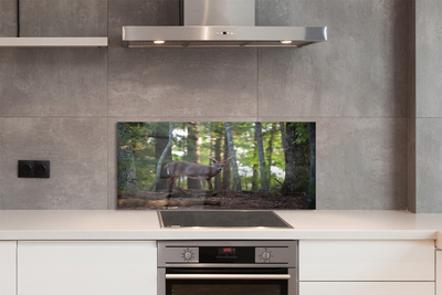 Painel de vidro Veado da floresta