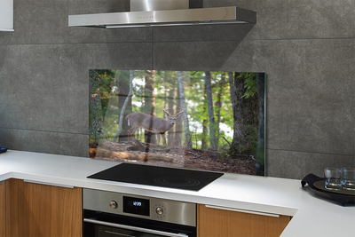 Painel de vidro Veado da floresta