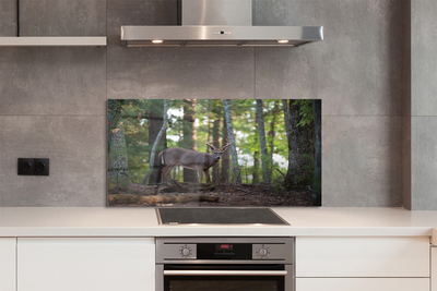 Painel de vidro Veado da floresta