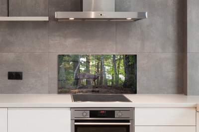 Painel de vidro Veado da floresta