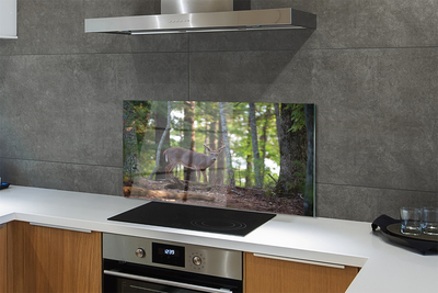 Painel de vidro Veado da floresta