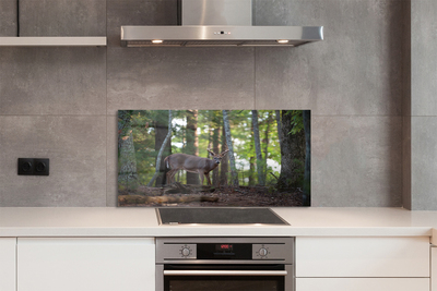 Painel de vidro Veado da floresta