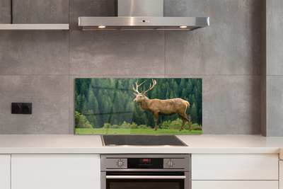 Painel de vidro Veado no campo