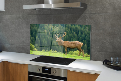 Painel de vidro Veado no campo