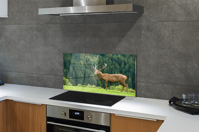 Painel de vidro Veado no campo