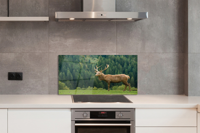 Painel de vidro Veado no campo