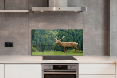 Painel de vidro Veado no campo