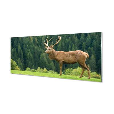 Painel de vidro Veado no campo