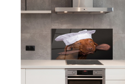 Painel de vidro Cachorro-quente