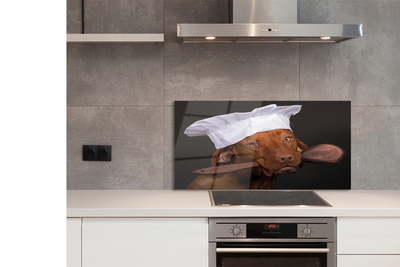 Painel de vidro Cachorro-quente